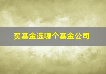 买基金选哪个基金公司