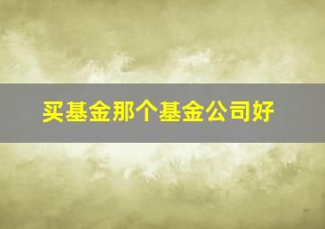 买基金那个基金公司好