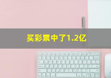 买彩票中了1.2亿