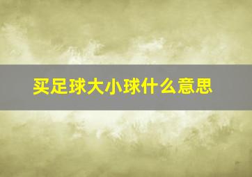 买足球大小球什么意思