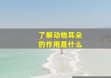 了解动物耳朵的作用是什么