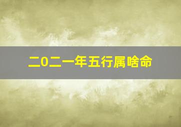 二0二一年五行属啥命