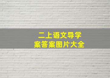 二上语文导学案答案图片大全