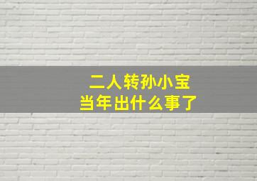 二人转孙小宝当年出什么事了