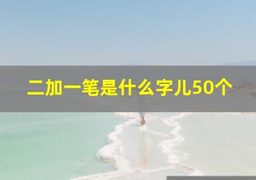 二加一笔是什么字儿50个