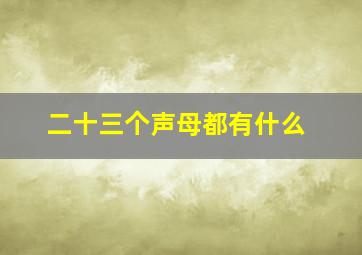 二十三个声母都有什么