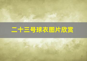 二十三号球衣图片欣赏