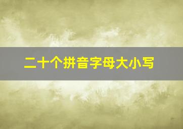 二十个拼音字母大小写