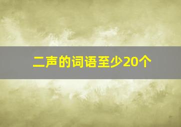 二声的词语至少20个