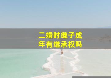 二婚时继子成年有继承权吗