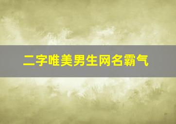 二字唯美男生网名霸气