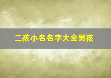 二孩小名名字大全男孩