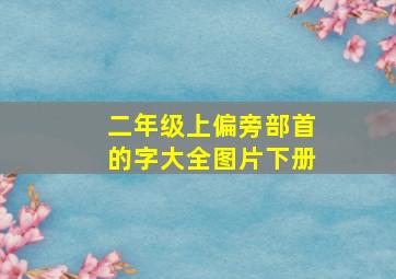 二年级上偏旁部首的字大全图片下册