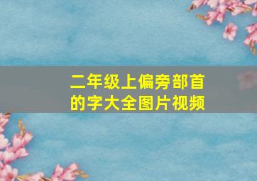 二年级上偏旁部首的字大全图片视频