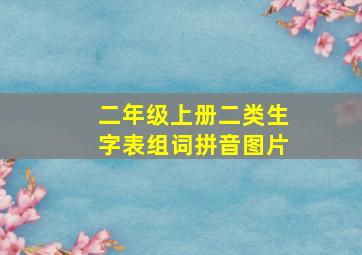 二年级上册二类生字表组词拼音图片