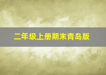 二年级上册期末青岛版