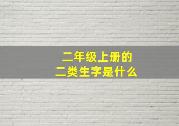 二年级上册的二类生字是什么