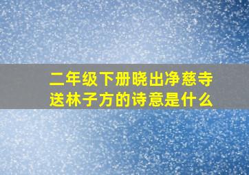 二年级下册晓出净慈寺送林子方的诗意是什么