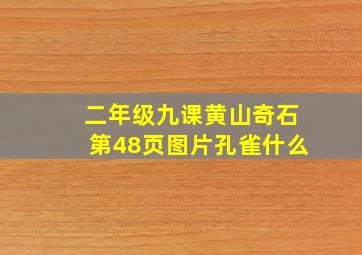 二年级九课黄山奇石第48页图片孔雀什么