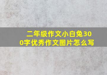 二年级作文小白兔300字优秀作文图片怎么写