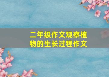 二年级作文观察植物的生长过程作文