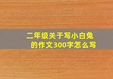 二年级关于写小白兔的作文300字怎么写