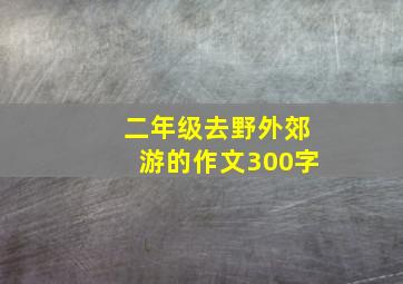 二年级去野外郊游的作文300字