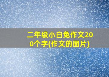 二年级小白兔作文200个字(作文的图片)