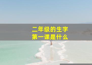 二年级的生字第一课是什么