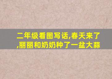 二年级看图写话,春天来了,丽丽和奶奶种了一盆大蒜