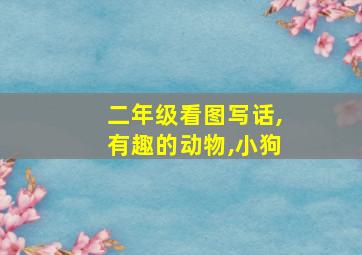 二年级看图写话,有趣的动物,小狗