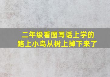 二年级看图写话上学的路上小鸟从树上掉下来了