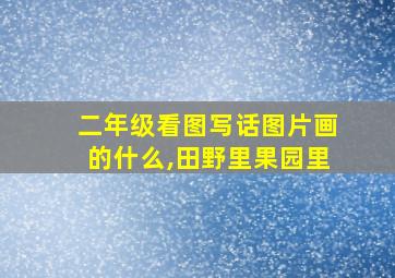 二年级看图写话图片画的什么,田野里果园里