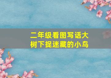 二年级看图写话大树下捉迷藏的小鸟