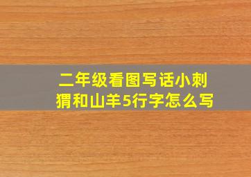 二年级看图写话小刺猬和山羊5行字怎么写