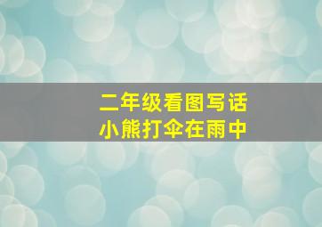 二年级看图写话小熊打伞在雨中