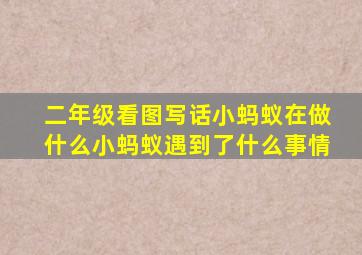 二年级看图写话小蚂蚁在做什么小蚂蚁遇到了什么事情