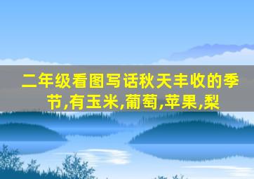 二年级看图写话秋天丰收的季节,有玉米,葡萄,苹果,梨