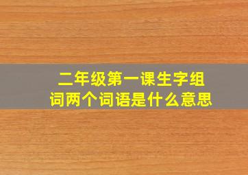 二年级第一课生字组词两个词语是什么意思