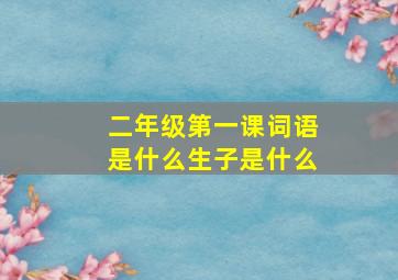 二年级第一课词语是什么生子是什么