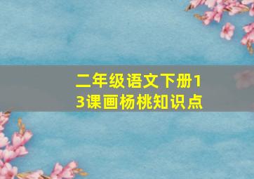 二年级语文下册13课画杨桃知识点