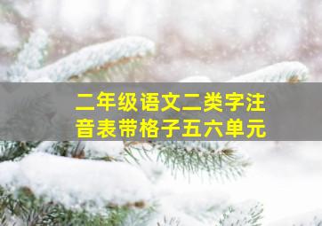 二年级语文二类字注音表带格子五六单元