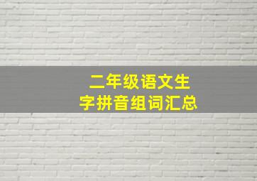 二年级语文生字拼音组词汇总