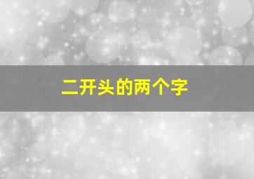 二开头的两个字