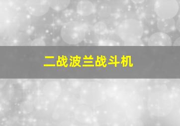 二战波兰战斗机