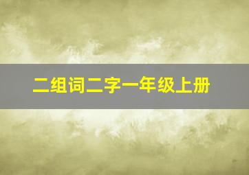 二组词二字一年级上册