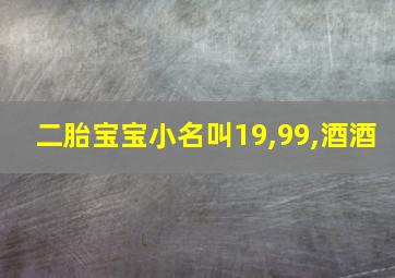 二胎宝宝小名叫19,99,酒酒