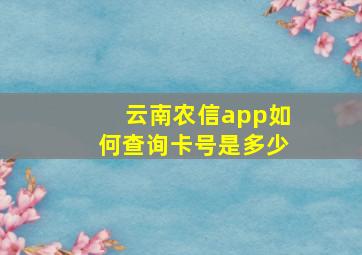 云南农信app如何查询卡号是多少