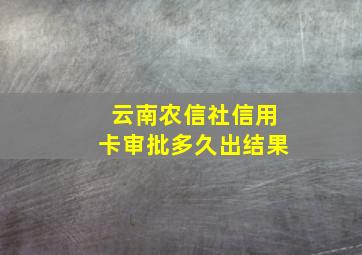 云南农信社信用卡审批多久出结果