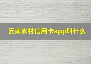 云南农村信用卡app叫什么